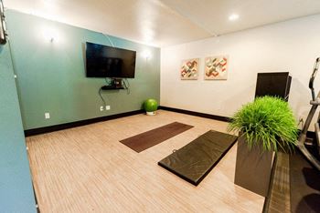 A yoga room with a television and a plant