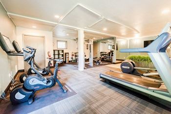 The gym
