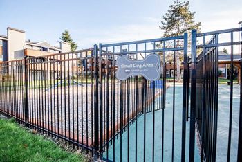 A black fence surrounds a small dog area.