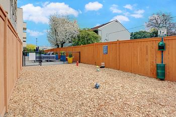 Dog run