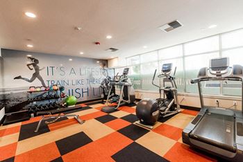 A gym with treadmills and equipment
