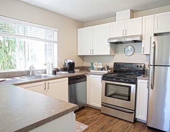 Gourmet kitchens