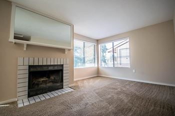Wood burning fireplaces