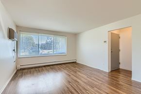 Schaumburg apartment for rent - an empty living room with a large window and wood floors