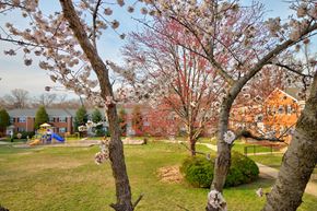 Falls Church apartment for rent - Kingsley Commons Townhouses Vista