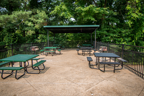 Silver Spring apartment for rent - 8600 Apartments Picnic Tables Pool Area