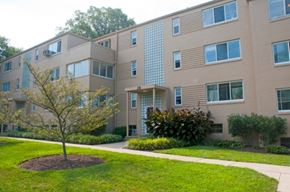 Greenbelt apartment for rent - A tree in a mulched circle is in front of a building with a lot of windows.
