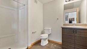Detroit apartment for rent - a bathroom with a toilet sink and shower