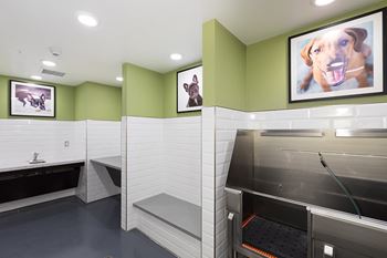 Pet spa