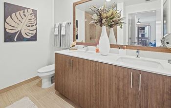Double vanity