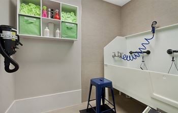 Pet spa