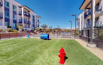 Dog park