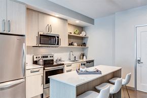 Boston apartment for rent - Velo Forest Hills Apartments - Boston, MA apartments - kitchen