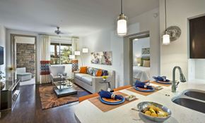 Scottsdale apartment for rent - Avion on Legacy apartments for rent in Desert Ridge, Arizona - vinyl plank flooring