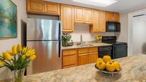 Port Orange apartment for rent - A kitchen with wooden cabinets and a stainless steel refrigerator.