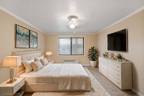 Port Orange apartment for rent - A well-lit bedroom with a large bed, a nightstand with a lamp, a dresser with a TV, and a plant.
