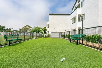Dog run