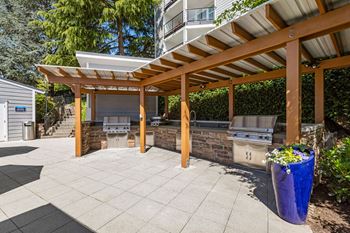 Covered bbq grills
