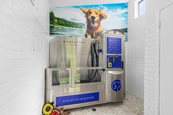 Self serve pet wash