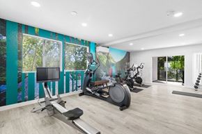 Newcastle apartment for rent - the gym has plenty of exercise equipment and a mural on the wall