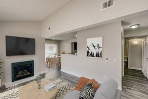 Golden apartment for rent - an open living room with a fireplace and a dining room and kitchen