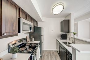 Golden apartment for rent - our redesigned kitchen is spacious and modern with stainless steel appliances and white countertops