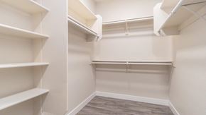 Chandler apartment for rent - walk in closet