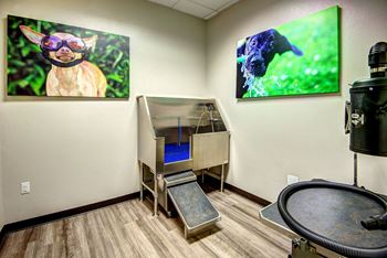 Dog wash