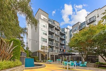 Expansive courtyard with bbqs