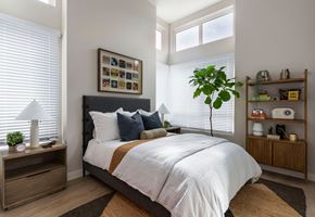 Fremont apartment for rent - A bedroom with a large bed, a nightstand with a lamp, and a plant on the windowsill.