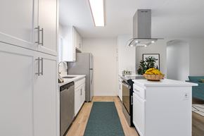 Vista apartment for rent - Waterleaf Apartment kitchen