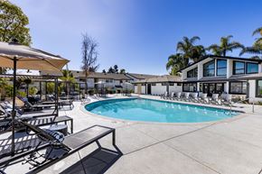 Vista apartment for rent - A pool area with sun loungers and a building in the background.