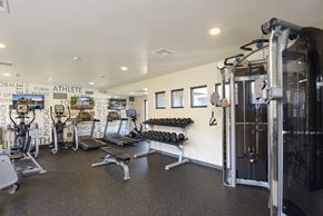 Vista apartment for rent - us state themed gym with a lot of exercise equipment