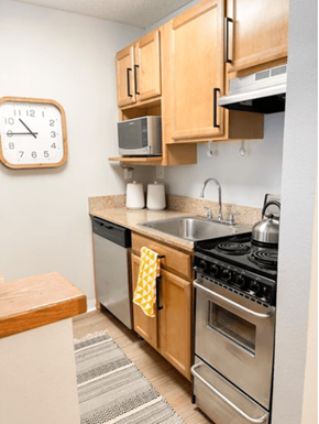 Albany apartment for rent - Studio 3