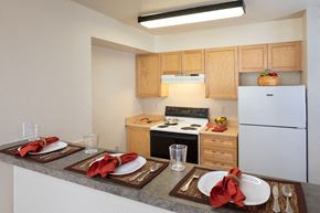 Seattle apartment for rent - Wooden cabinets at Gilmore Apartments, Washington, 98101