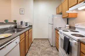 Seattle apartment for rent - a kitchen with a stove refrigerator and sink