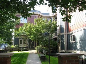 Seattle apartment for rent - A tree-lined walkway leads to a building.