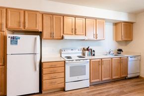 Seattle apartment for rent - Cabinets at Arbora Court, Seattle