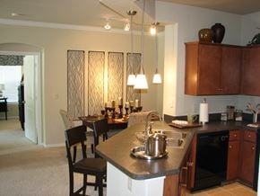 Houston apartment for rent - 2x2 Model
