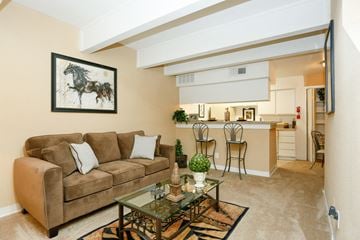 Houston apartment for rent - A living room with a brown couch and a glass coffee table.
