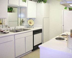 Houston apartment for rent - a white kitchen with a sink and a refrigerator