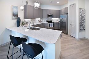 Irving apartment for rent - Sagemont Apartments Irving Texas  Kitchen