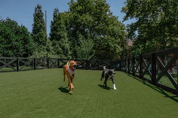 The grove unleashed dog park - 4,000 sq. Ft. Fenced in dog park with shaded picnic tables and artificial turf