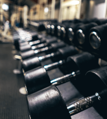 A row of black dumbbells are lined up on a rack in a gym