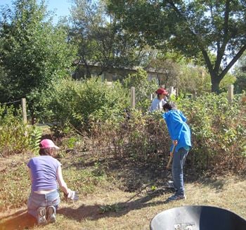 Garden plots