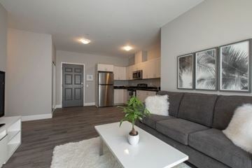 Kingston apartment for rent - A modern living room with a grey couch and a white coffee table.