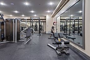 Kanata apartment for rent - the gym is equipped with state of the art gym equipment at The Woods at 180 Kanata Avenue Apartments, Kanata, ON