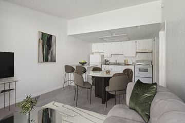 Eustis apartment for rent - A modern living room with a grey couch and a television.