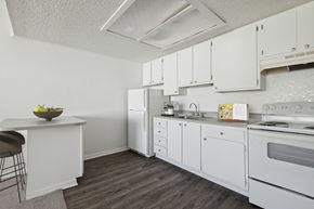 Eustis apartment for rent - Apartment kitchen at Tanglewood Apartments
