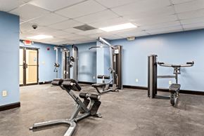 Lauderhill apartment for rent - A gym with a variety of equipment including a treadmill, a stationary bike, and a weight bench.